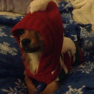 Meet your Posher, Tracey